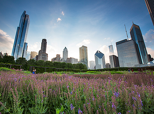 Lurie Gardens at Millennium Park
