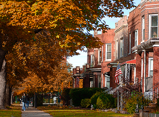 View of Albany Park neighborhood street in fall